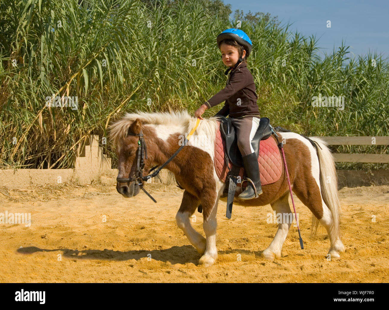 Riding little pony hotsell
