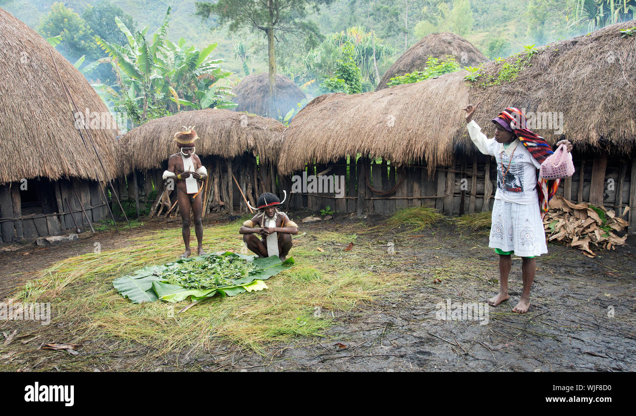 Dani tribe woman in village hi-res stock photography and images