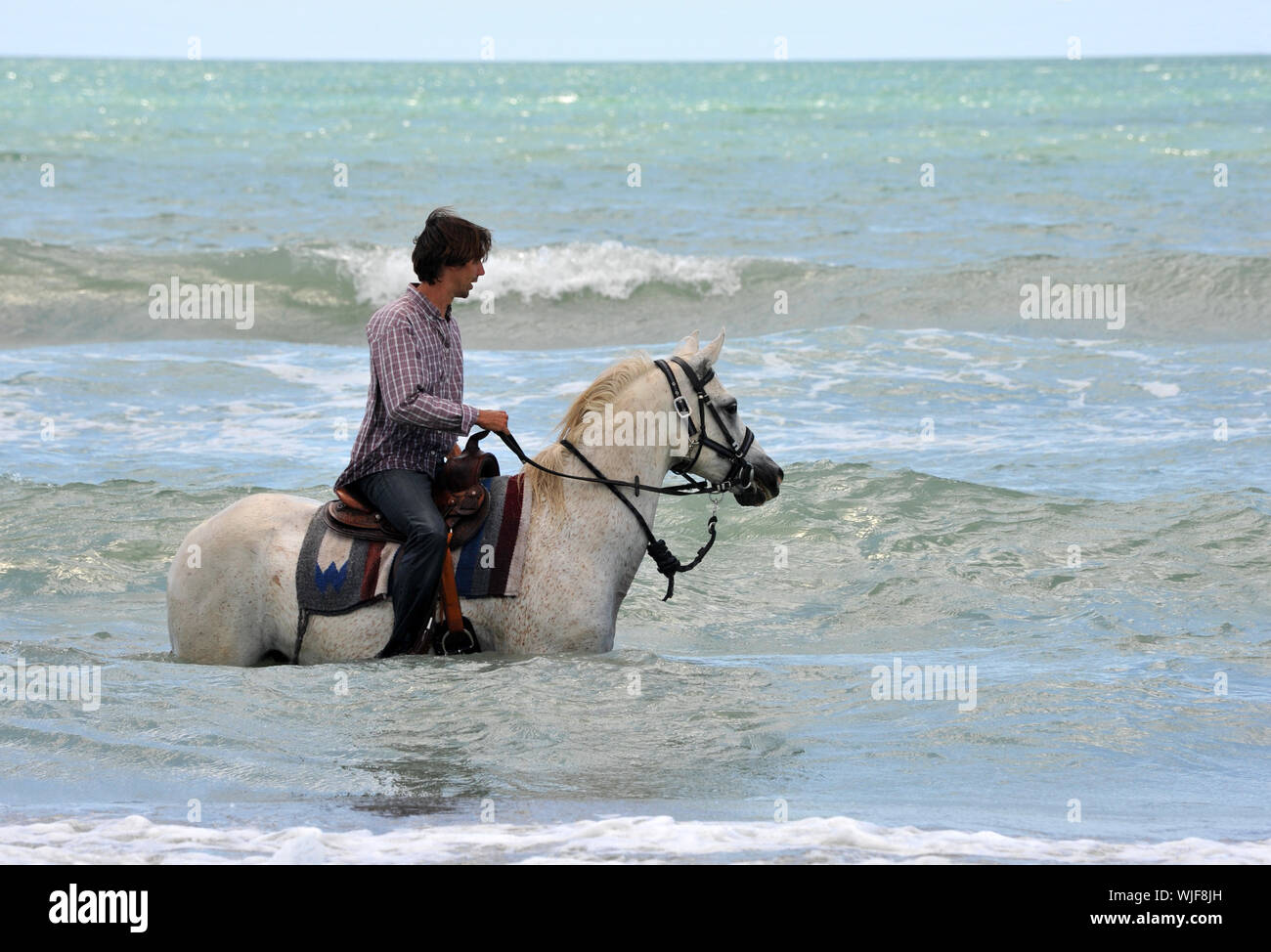 riding man and his white horse in the sea Stock Photo - Alamy