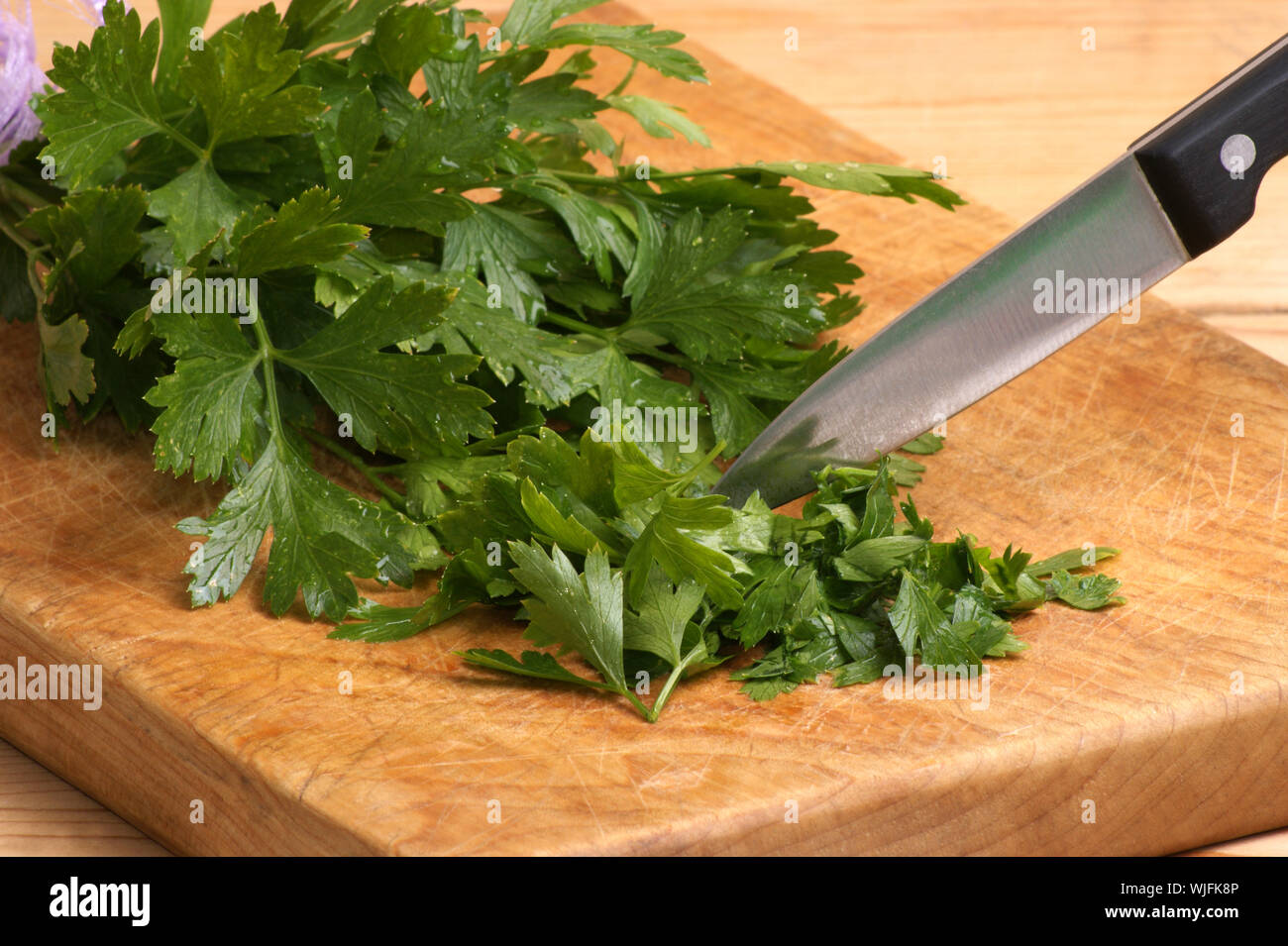 organic parsley, ideal as spice for every kitchen Stock Photo Alamy