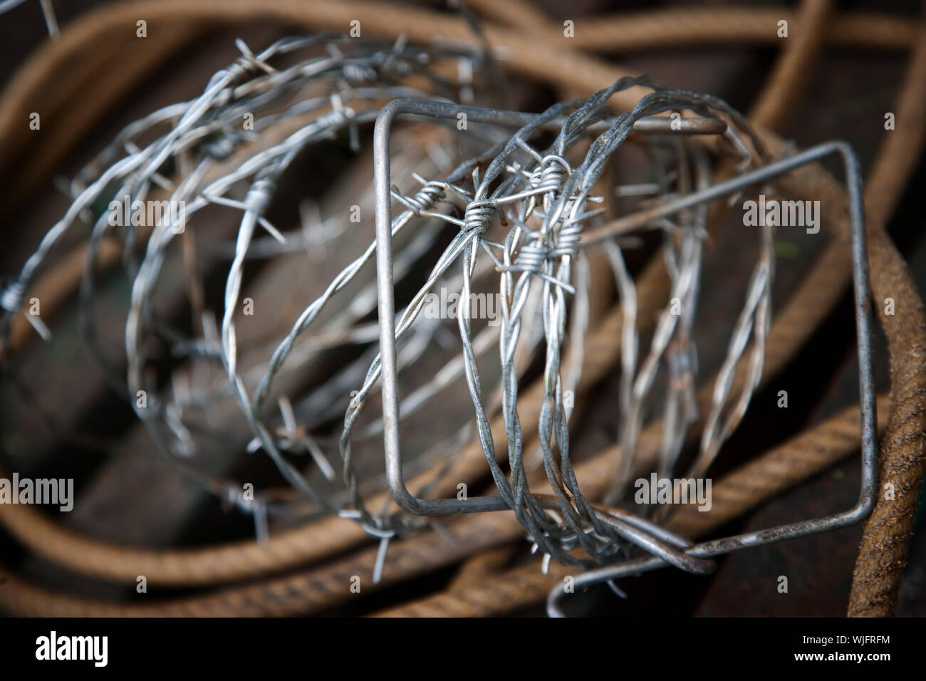 Rustic still life of barbed wire and rope Stock Photo