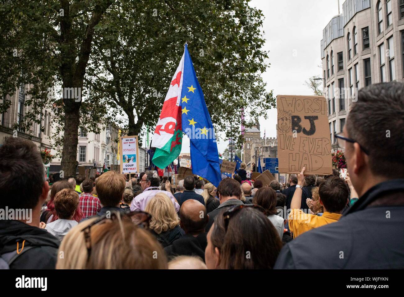 Cardiff, Wales, UK, September 3rd 2019. People protest against the UK