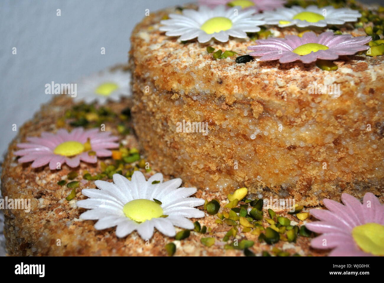 Floral Patterns High Resolution Stock Photography And Images Alamy Floral Patterns High Resolution Stock Photography And Images Alamy