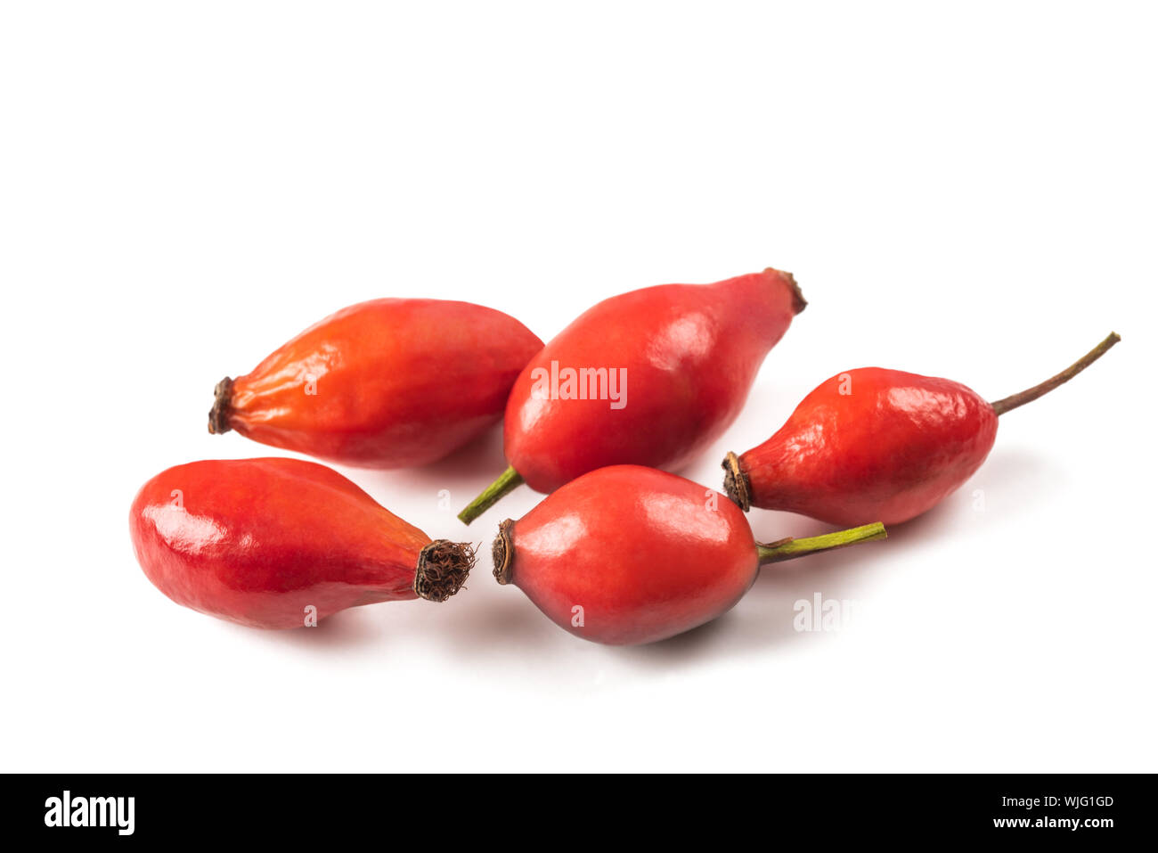 Dog rose berries isolated on white background Stock Photo Alamy