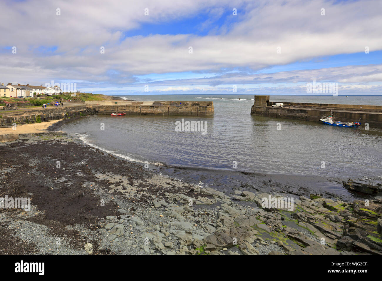 Craster Harbour, Craster, Northumberland, England, UK Stock Photo Alamy