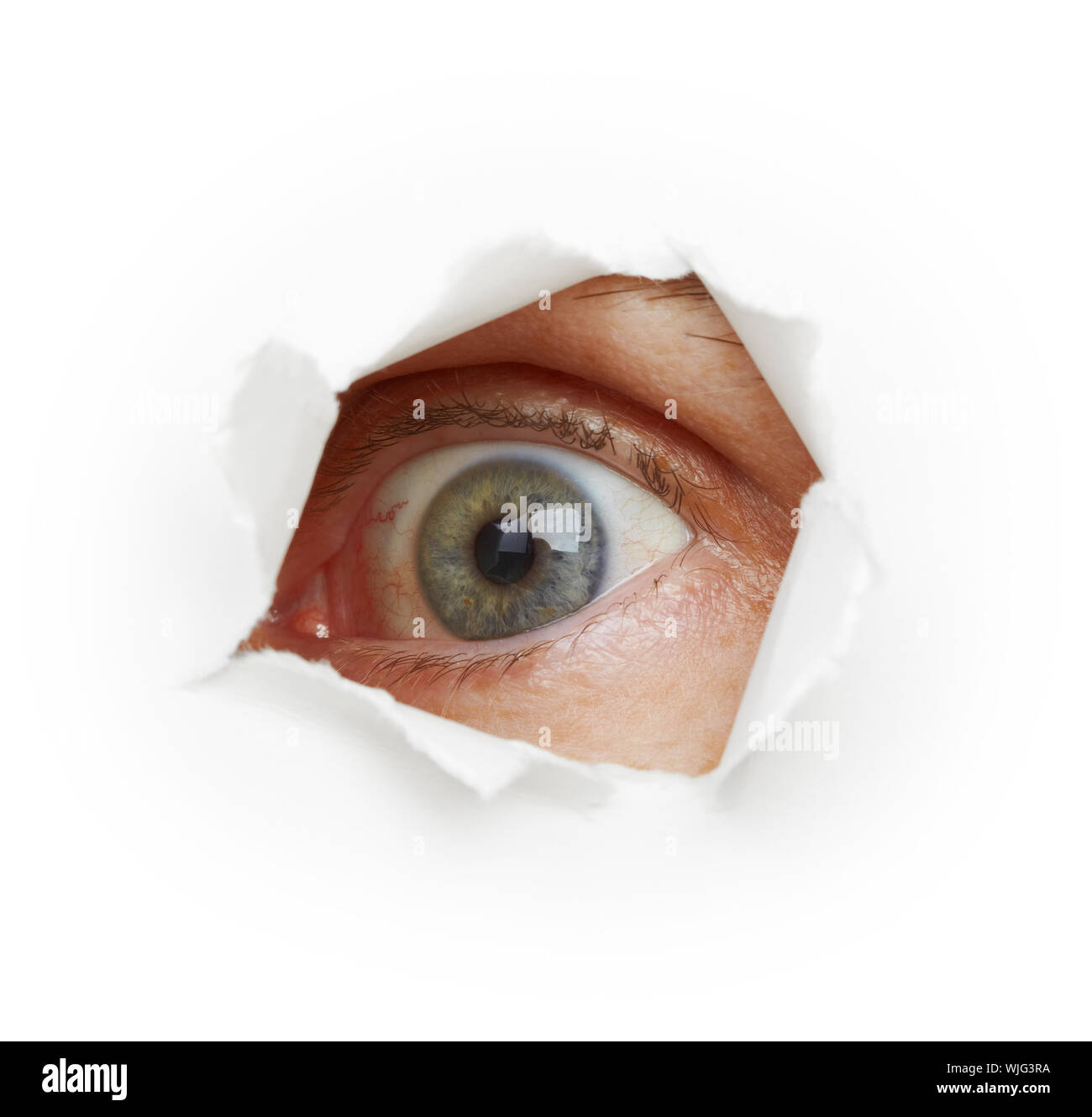 Voyeurism - eye spies through a hole. white background Stock Photo