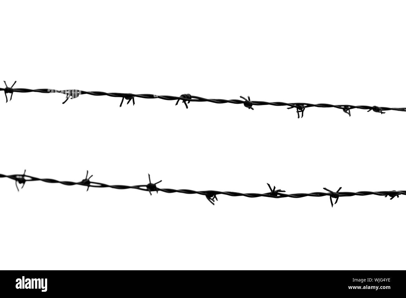 barbed wire isolated Stock Photo Alamy
