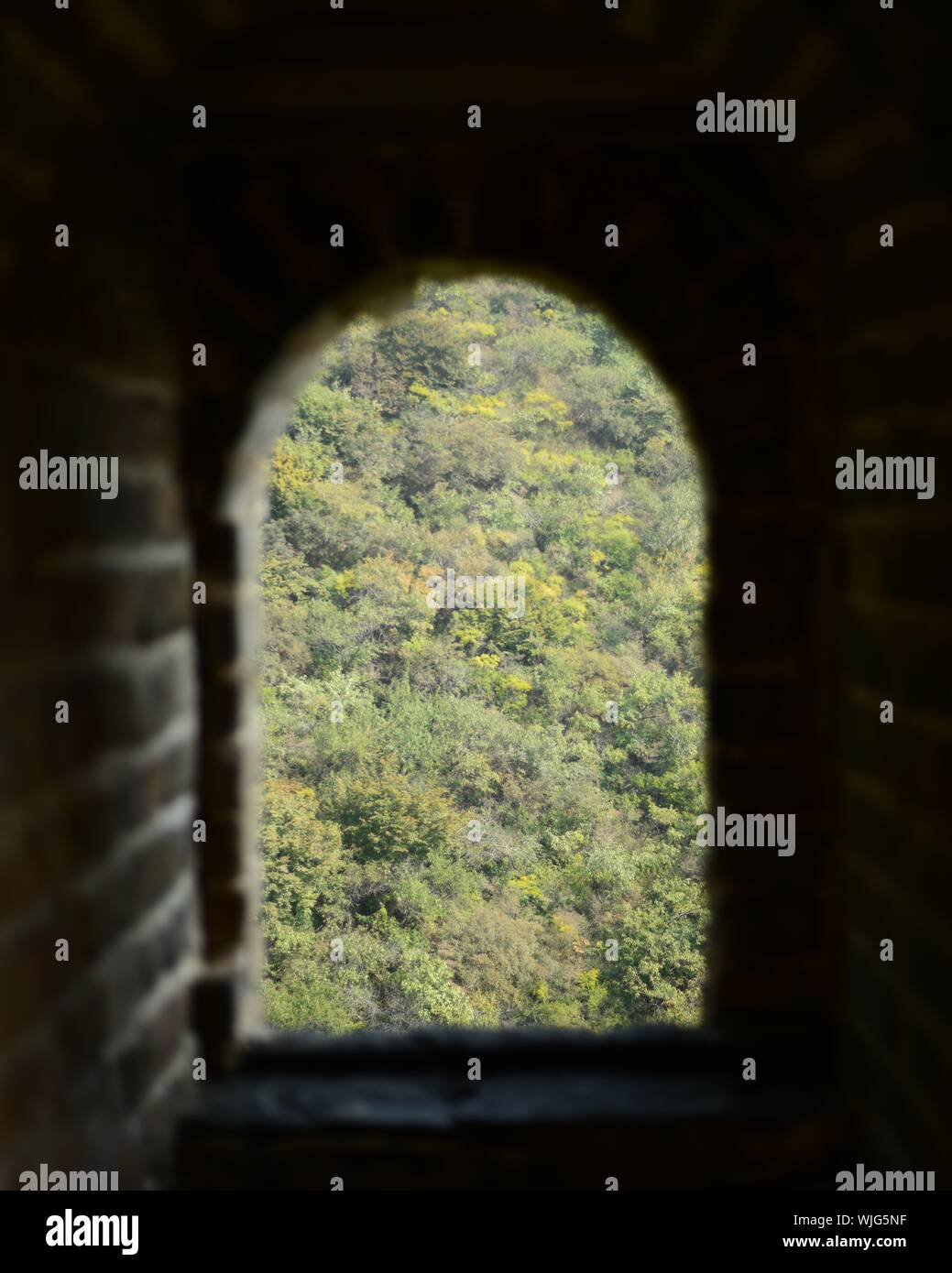 Great green wall china trees hires stock photography and images Alamy
