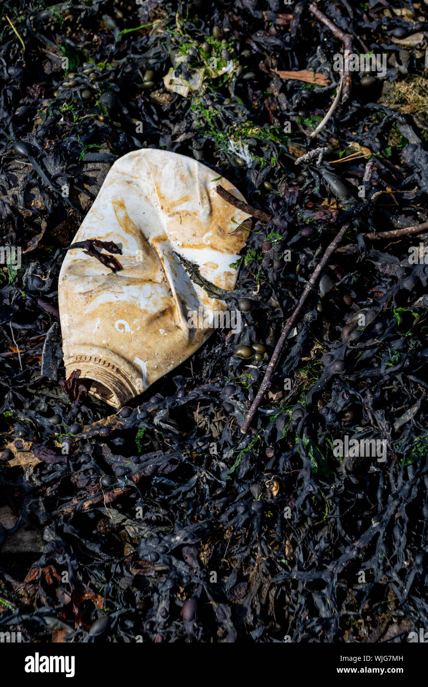 Download Old Plastic Bottle That Has Not Degraded Washed Up On The Beach Amongst Seaweed Stock Photo Alamy Yellowimages Mockups