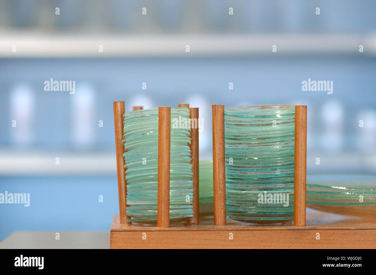 glass saucers in the laboratory Stock Photo Alamy
