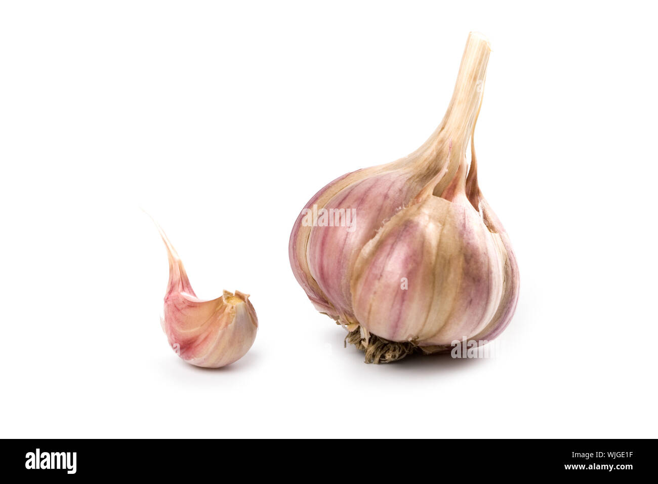fresh garlic isolated on white background Stock Photo - Alamy