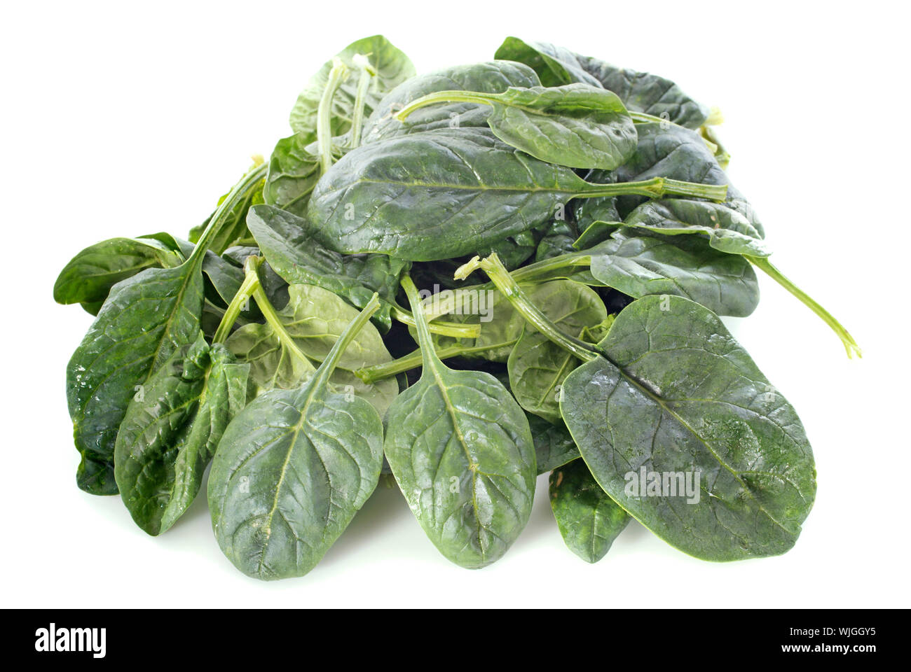 raw spinach in front of white background Stock Photo Alamy
