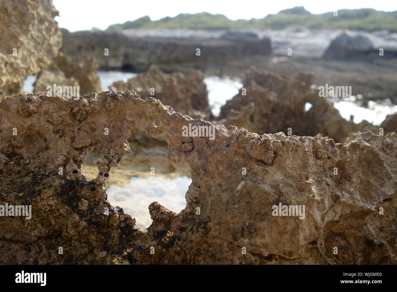 KÜSTENSTRUKTUREN . COAST STRUCTURES Stock Photo