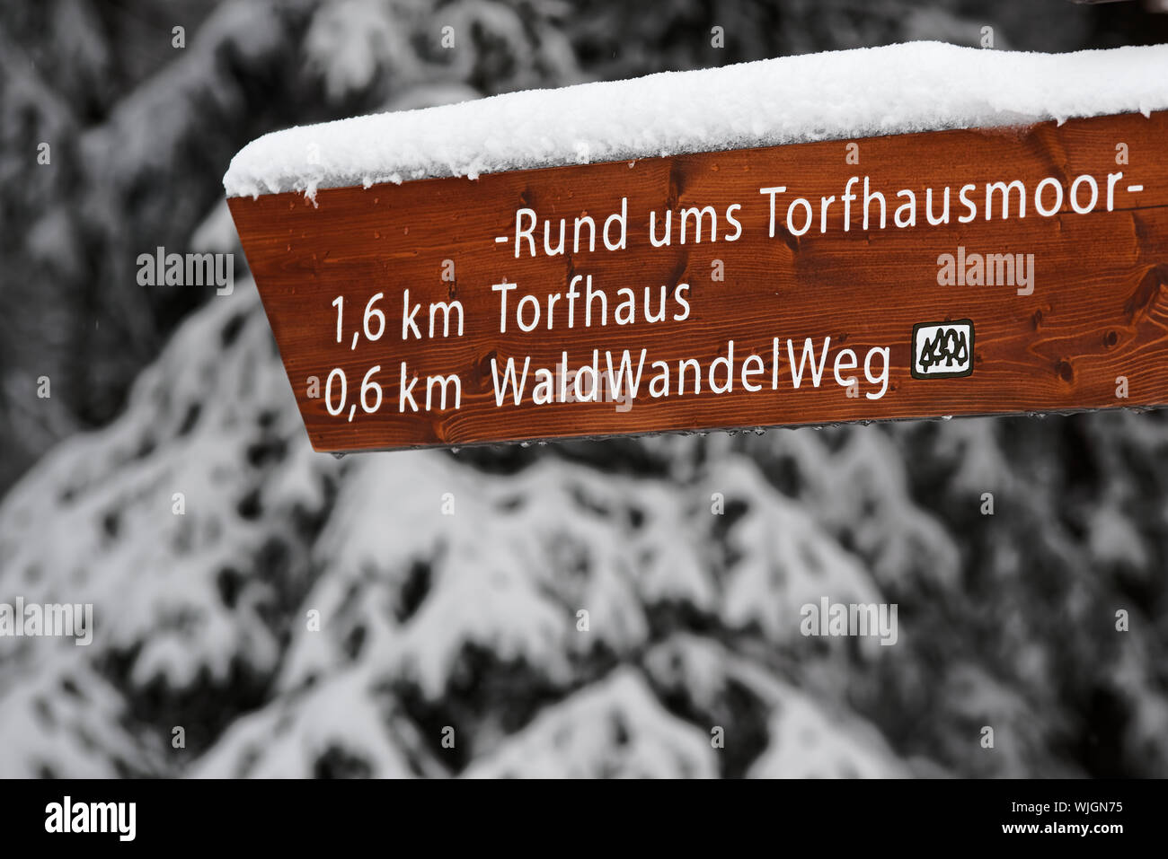 Snow covered wooden directional signpost with labeling 'Way around Torfhaus moor' and distance to Torfhaus and the 'Forest Hiking Way'. Harz national Stock Photo
