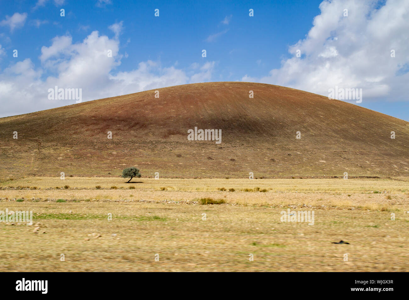 mountain Landscape. Yellow hill and tree Stock Photo