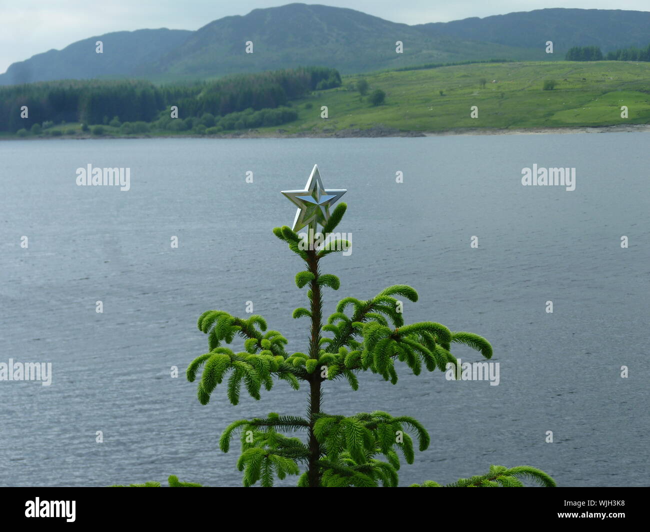 Christmas tree lake hires stock photography and images Alamy