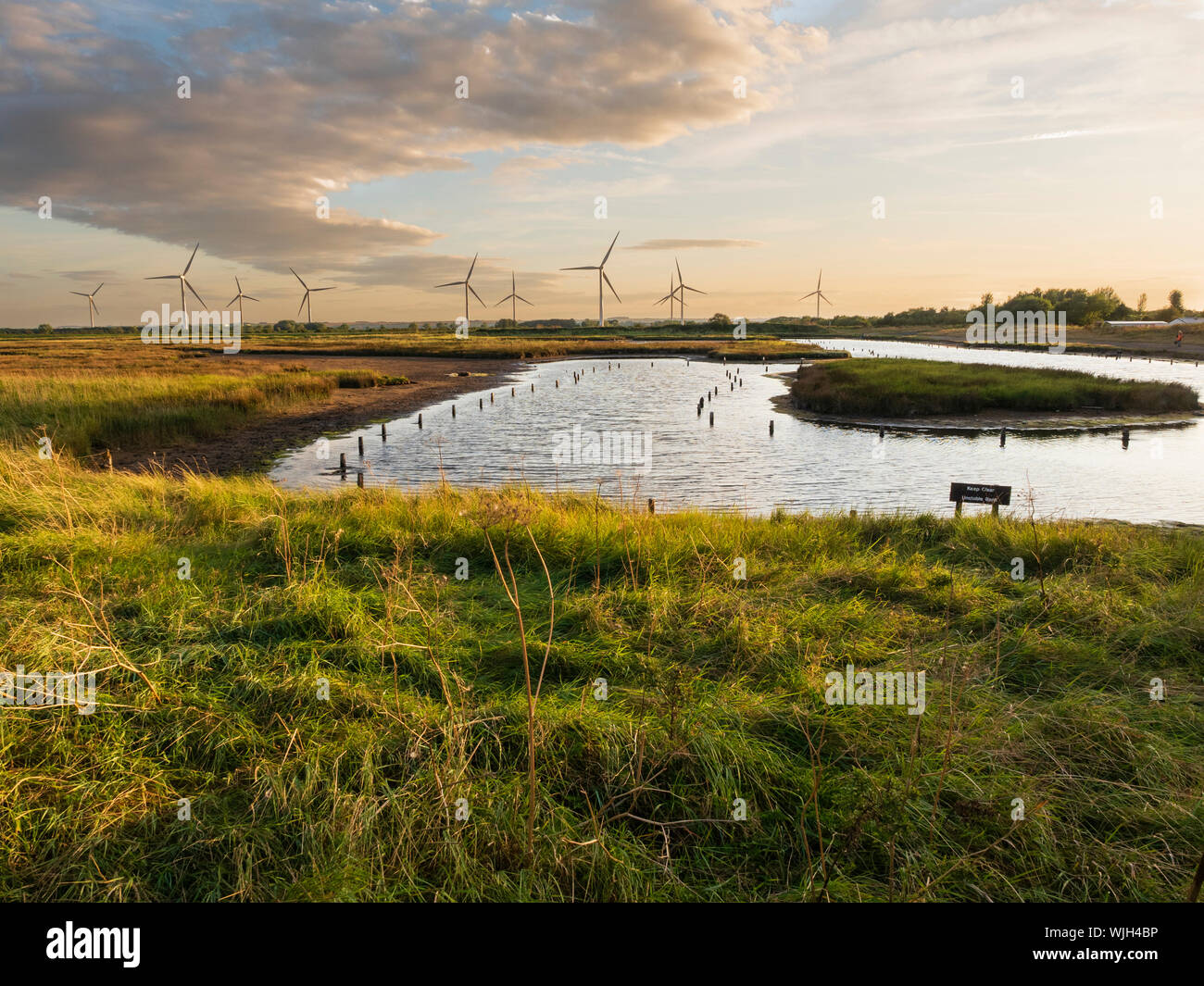 Saline pool and background windfarm at the RSPB reserve on Tetney Marshes, North East Lincolnshire Stock Photo