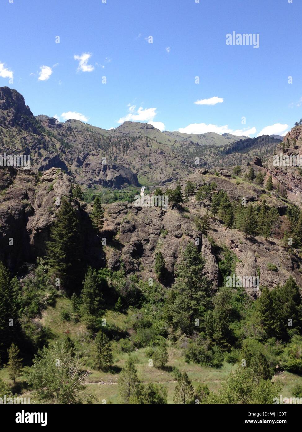 all star light bigbelt hi