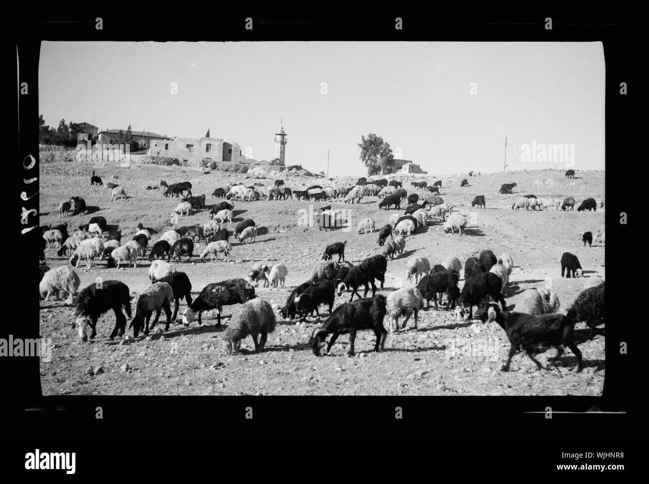 The Black Sheep JLT: A New Gastropub Is Now Open In JLT