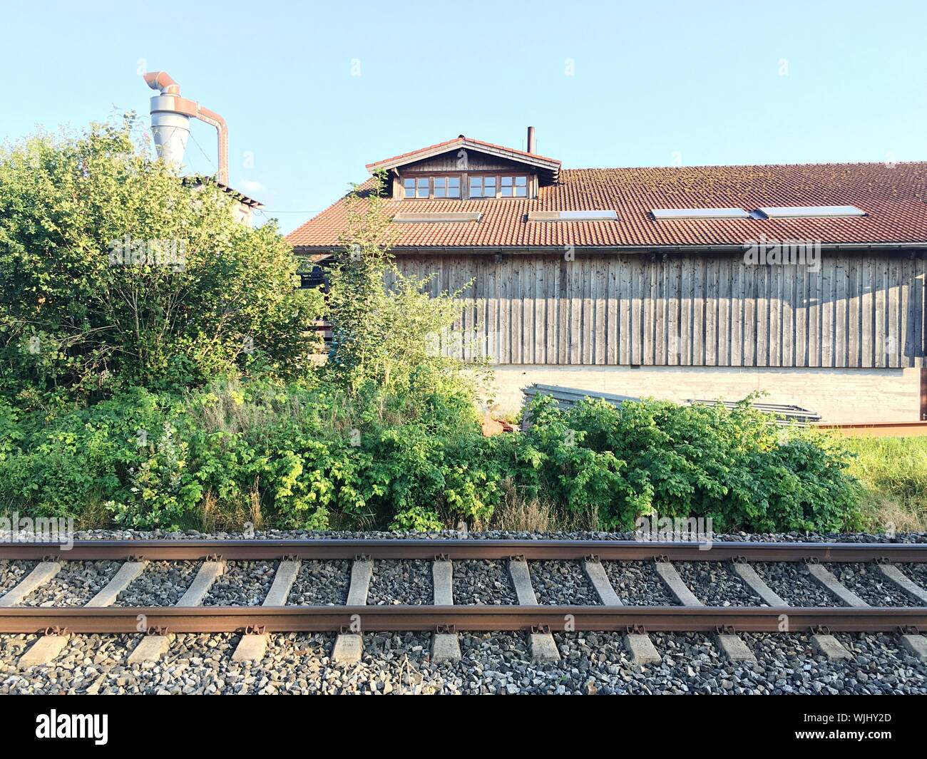 Railroad Track By Plants Stock Photo