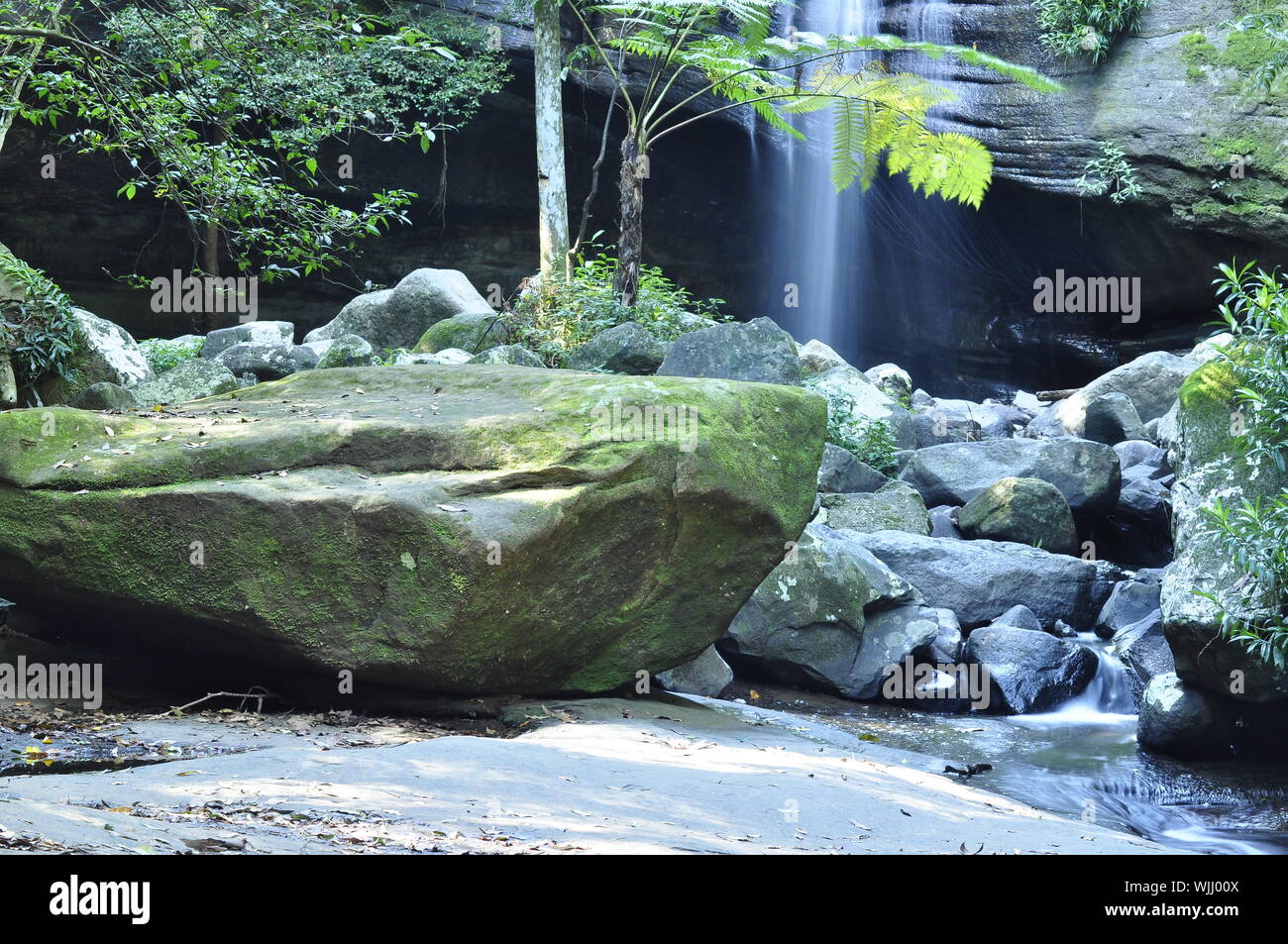 Serenity Falls Buderim Sunshine Coast Queenslad Australia Stock Photo