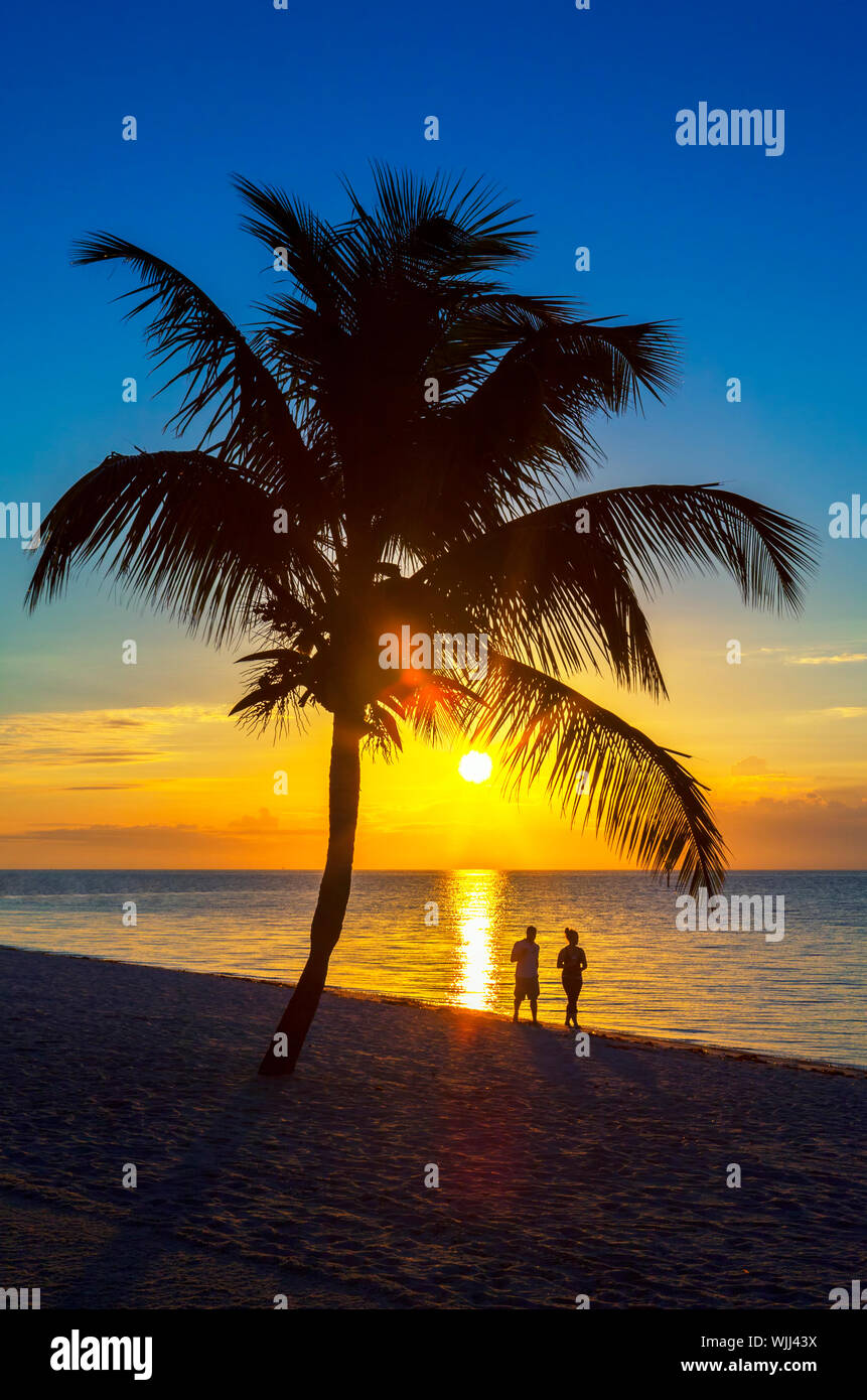 The silhouette of couple walking at sunset on the beach Stock Photo - Alamy