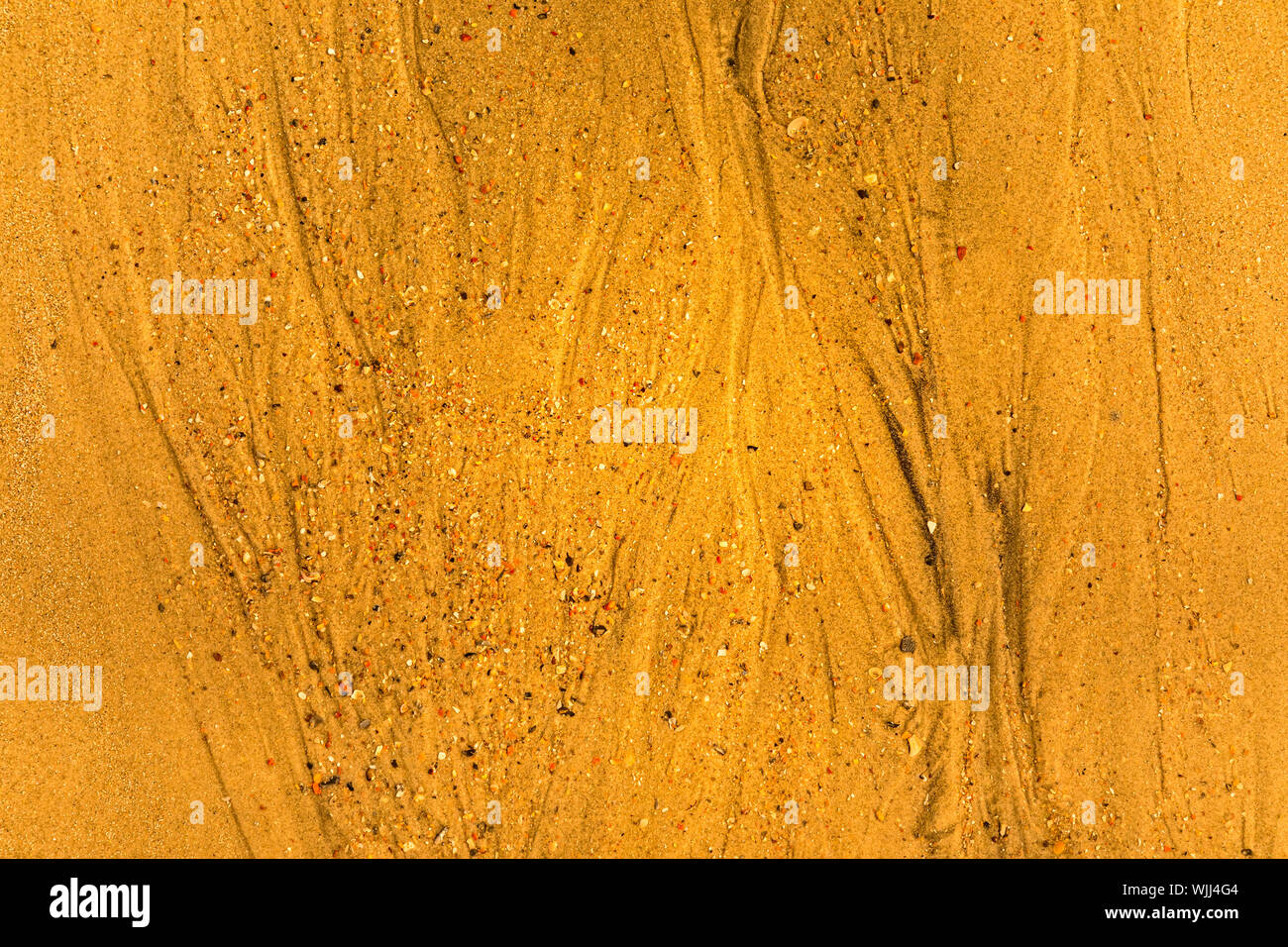 Close-up of sand with tidal ways and shells on the beach, full frame texture Stock Photo