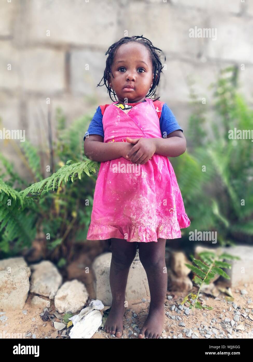 Full Length Of Girl Standing With Hands Clasped By Plants Stock Photo ...