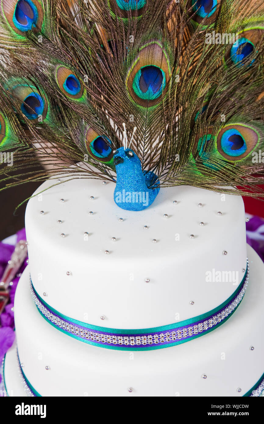 Peacock Wedding Invitations and Wedding Ideas - Elegantweddinginvites.com  Blog