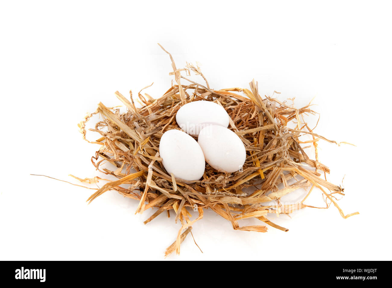 straw bird nest with white eggs isolated Stock Photo - Alamy