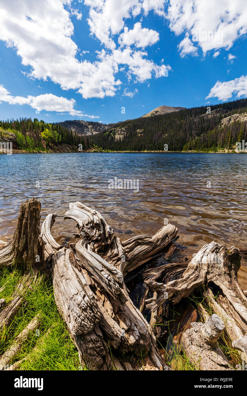 Summer view of Boss Lake; elevation 10,880 feet; near Continental