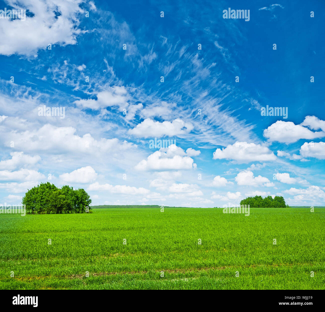 green field with trees and blue sky Stock Photo - Alamy