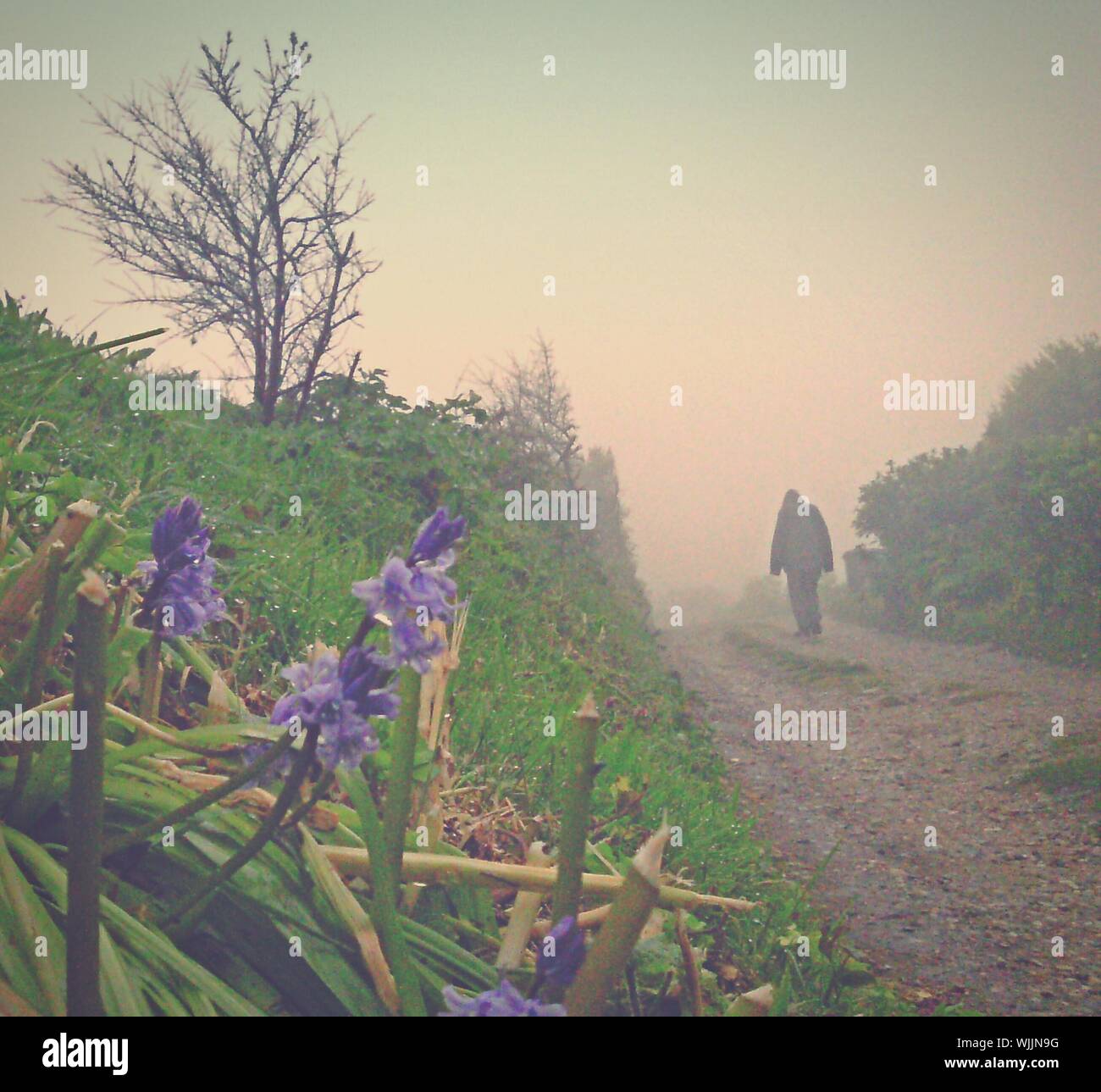 Man walking on country road hi-res stock photography and images - Alamy