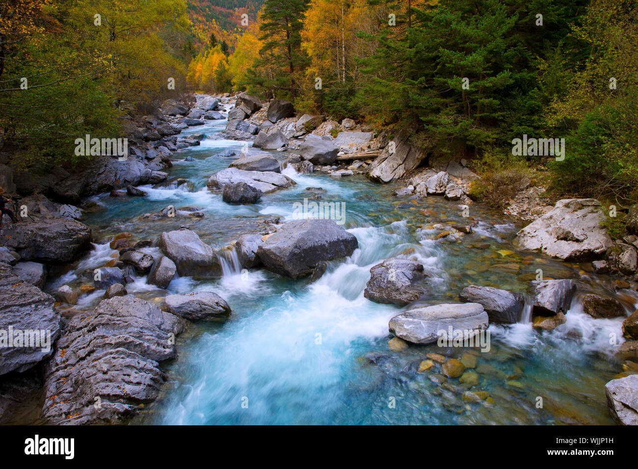 Rio Ara river Bujaruelo in Valle de Ordesa valley Pyrenees Huesca Aragon at  Spain Stock Photo - Alamy