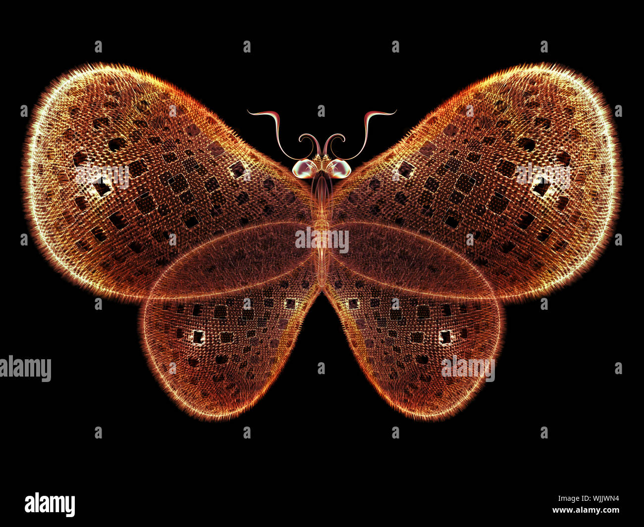 Never Were Butterflies series. Graphic composition of isolated ...