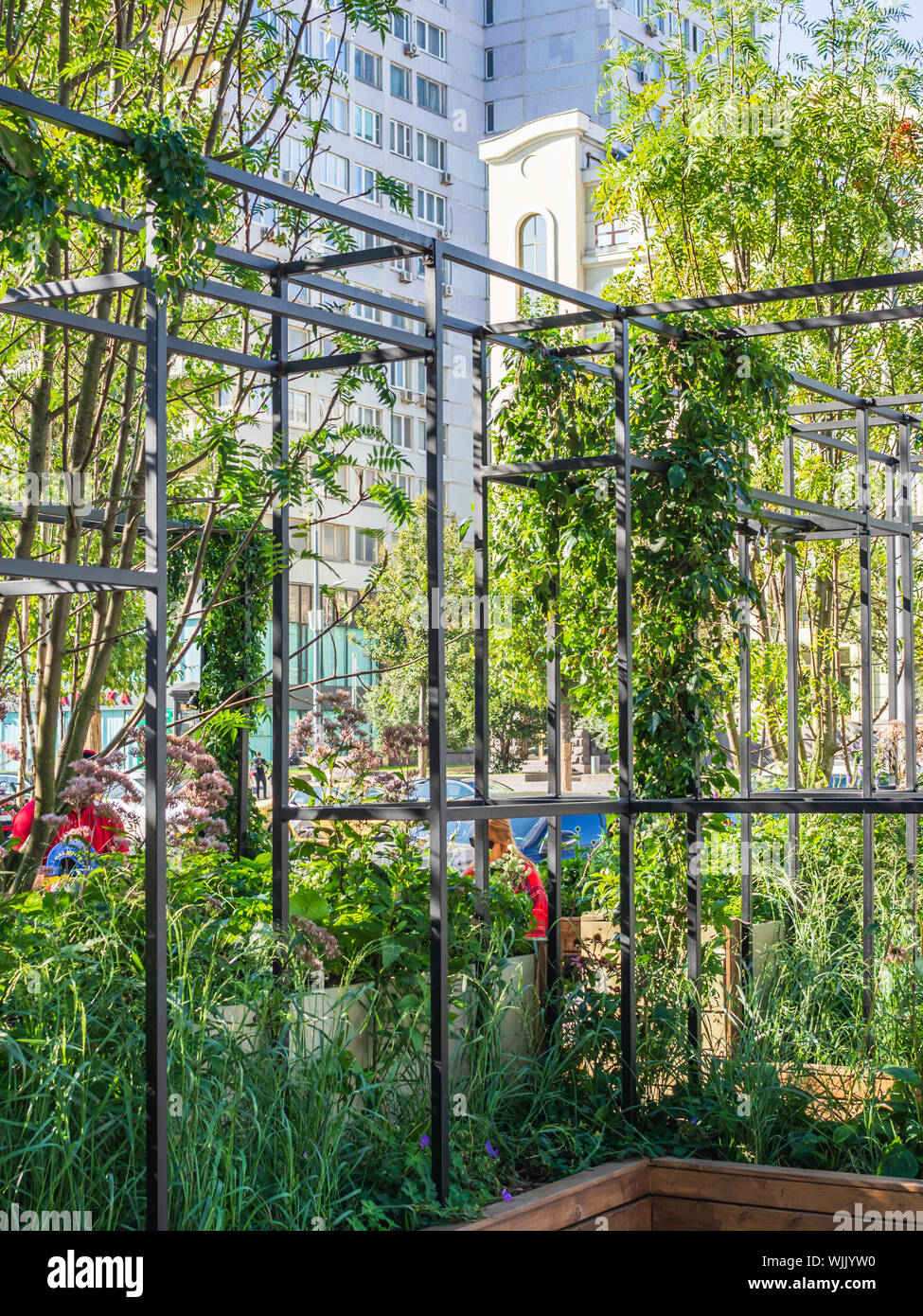The "Flower Jam" Festival and Open International Competition of Urban