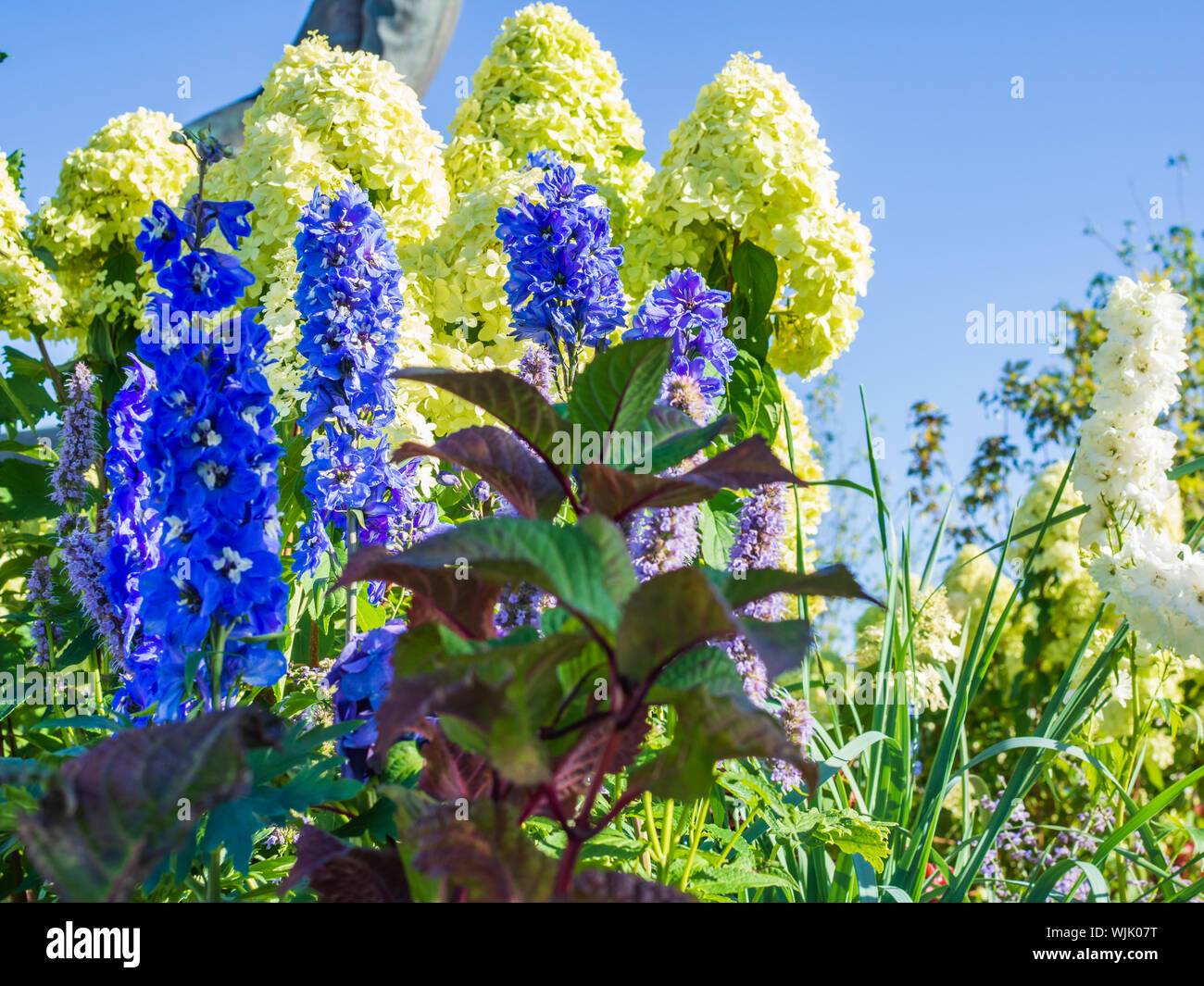 The "Flower Jam" Festival and Open International Competition of Urban