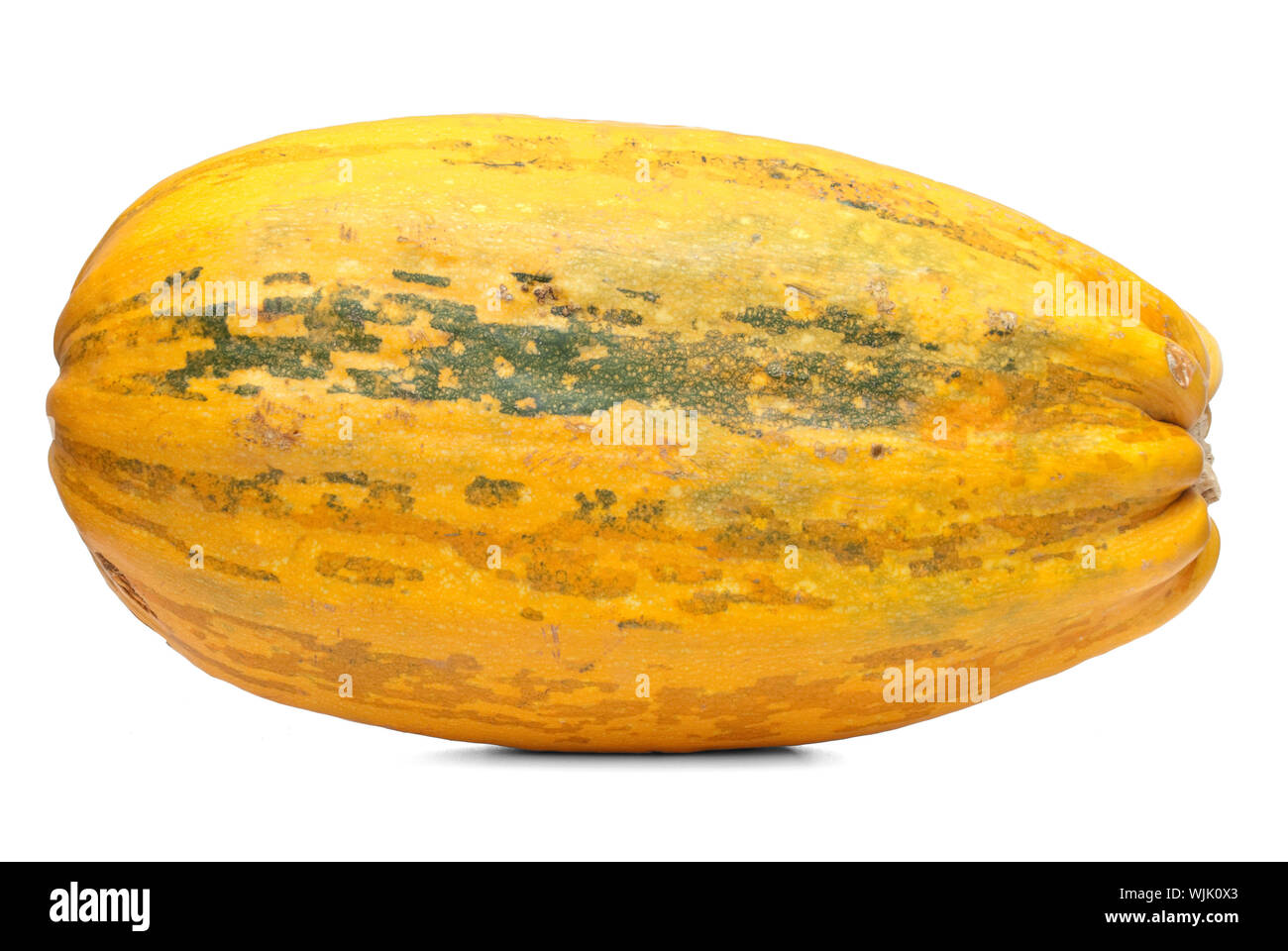Single fresh pumpkin isolated on white background Stock Photo - Alamy