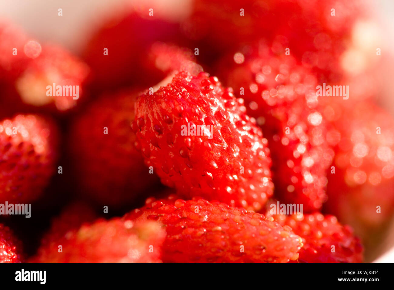 macro image of fresh and tasty wild strawberries Stock Photo - Alamy