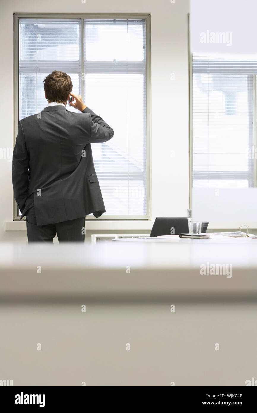 Rear view of a businessman using cellphone at office window Stock Photo ...