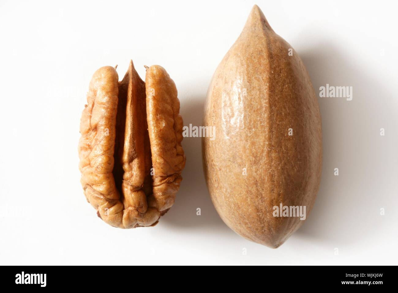Pecan nut fruit and shell isolated over white studio background Stock