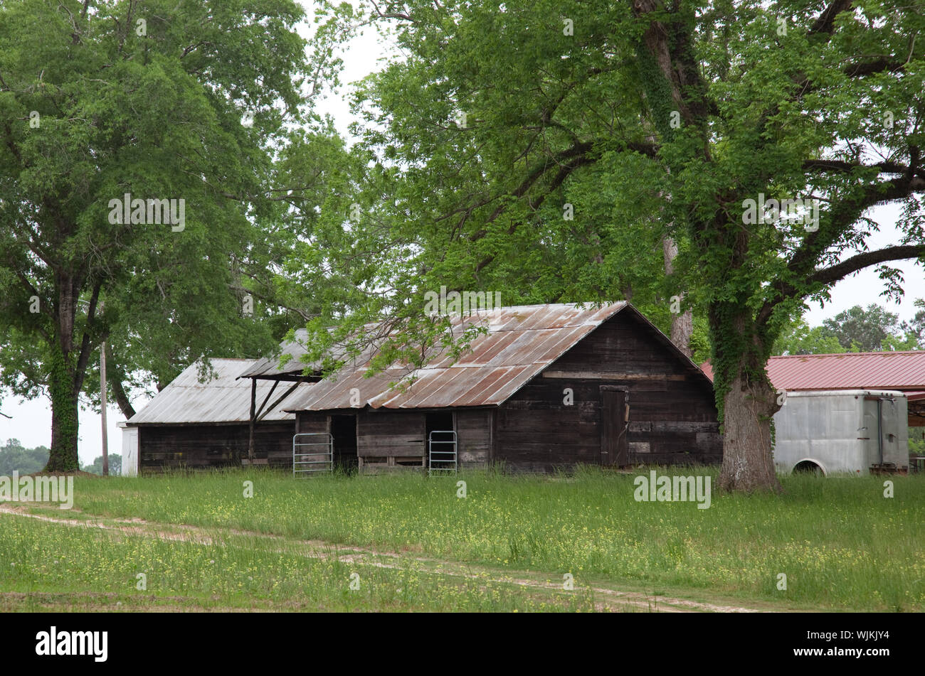 Historic buildings in Peterman, Alabama Stock Photo Alamy