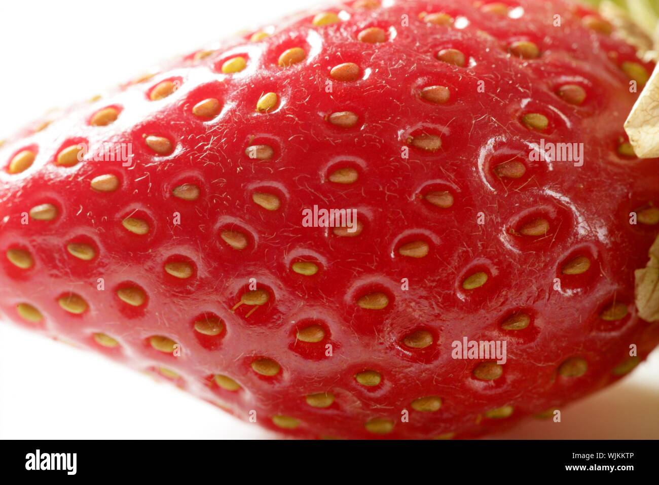 Strawberry macro detail. studio shot white background Stock Photo - Alamy