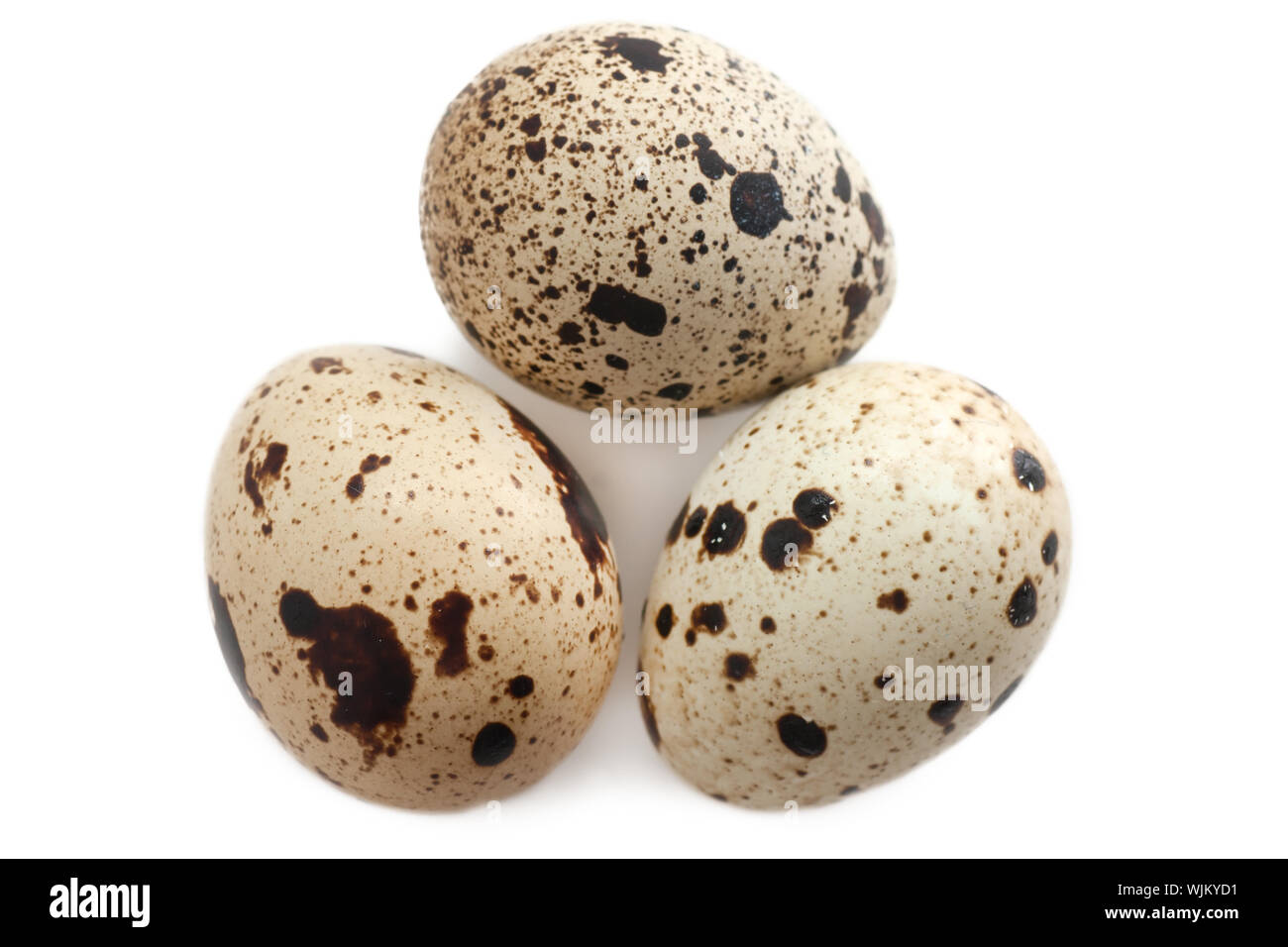 Three quail eggs isolated on white background Stock Photo - Alamy
