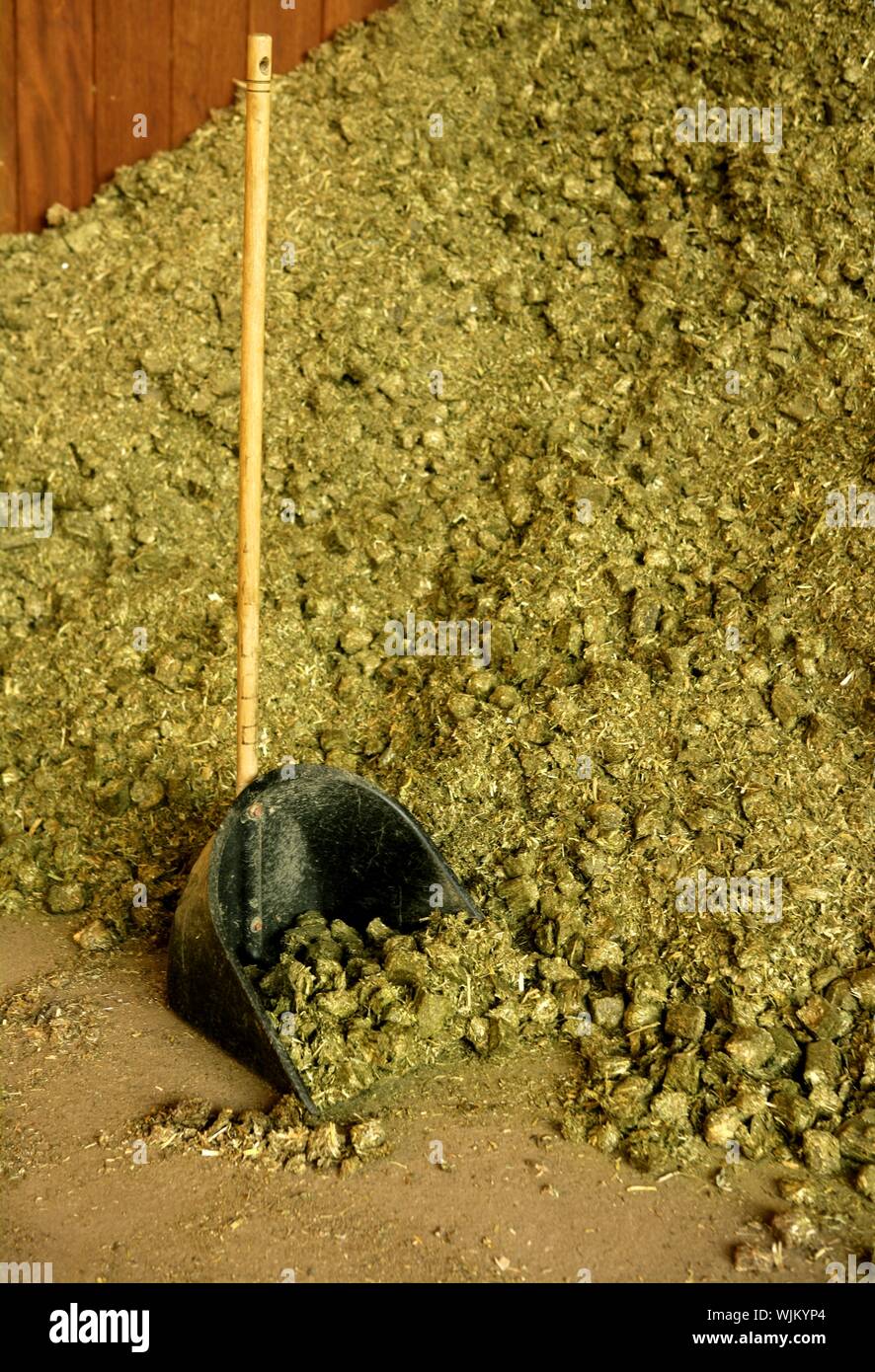 Dry alfalfa, horses food, granary, barn Stock Photo Alamy