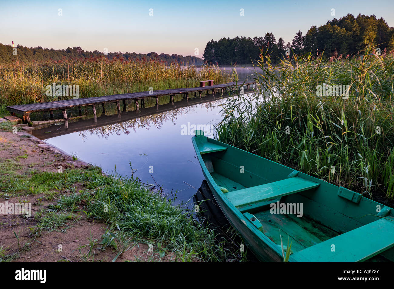 old wooden boat in the reed bushes on the bank of wide river or lake ...