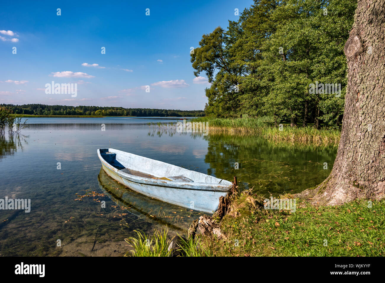 old wooden boat in the reed bushes on the bank of wide river or lake ...