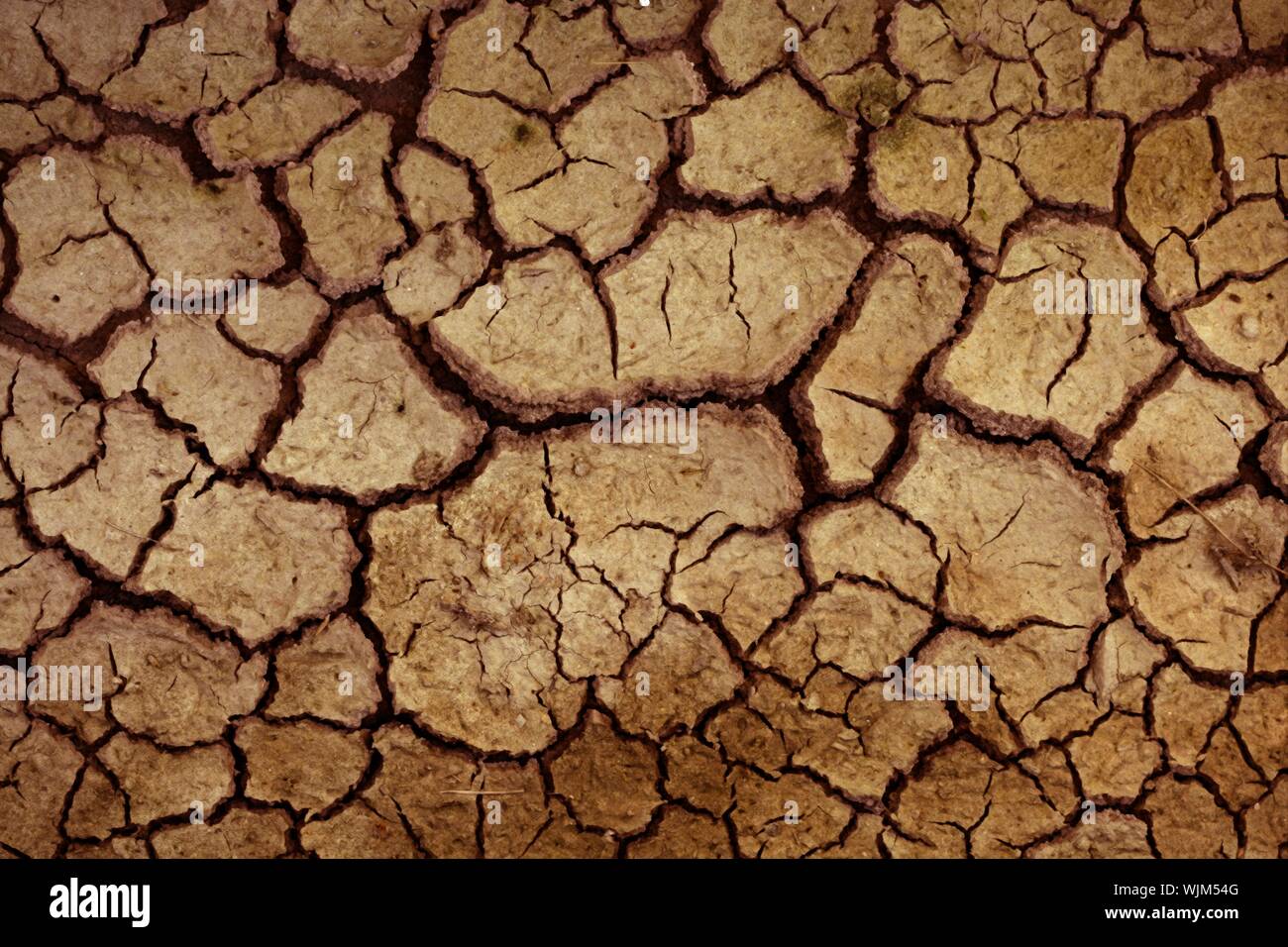 Dry red clay soil texture, natural floor background Stock Photo Alamy