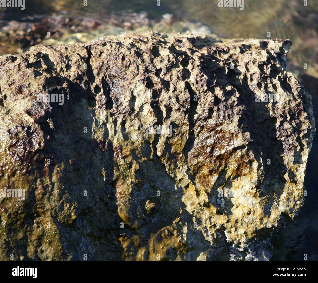 Marine rock texture detail on docks, barnacle Stock Photo - Alamy