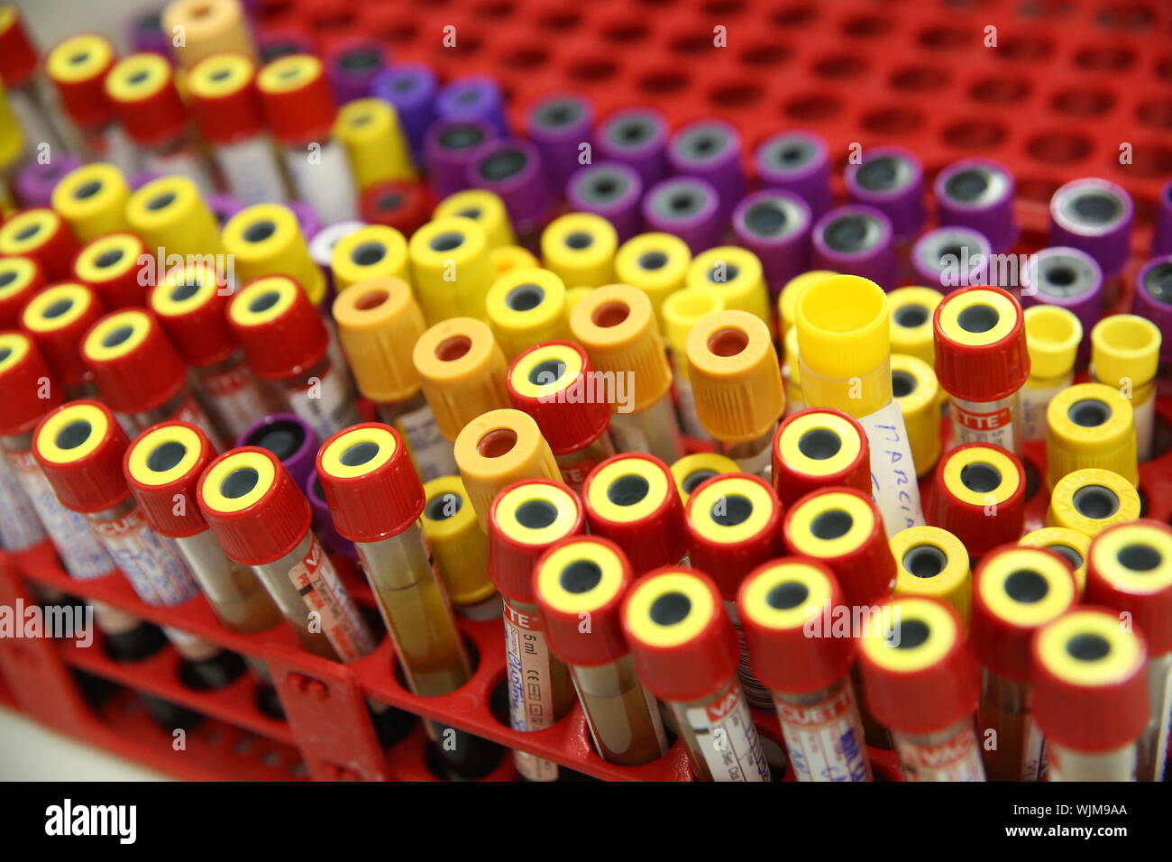 Test tubes in a rack hires stock photography and images Alamy